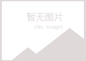 乐山中初夏材料有限公司